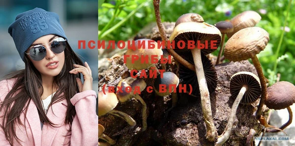 кокаин Новозыбков