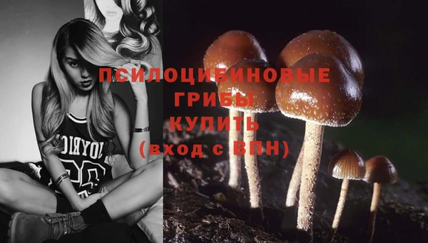кокаин VHQ Новодвинск