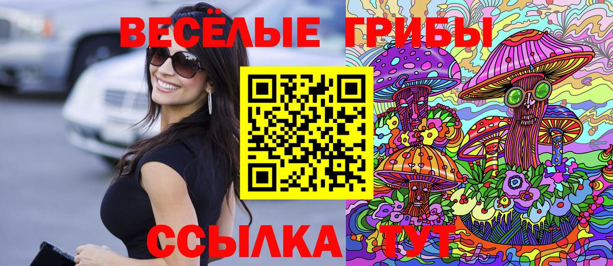 хочу   Вход с VPN  Улан-Удэ  Галлюциногенные грибы Cubensis  Псилоцибиновые грибы мухоморы 